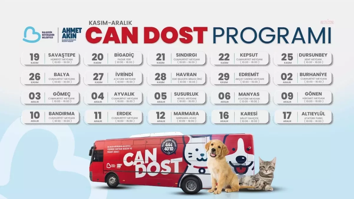 Balıkesir’de Sokak Hayvanlarına ‘Can Dost’ Desteği